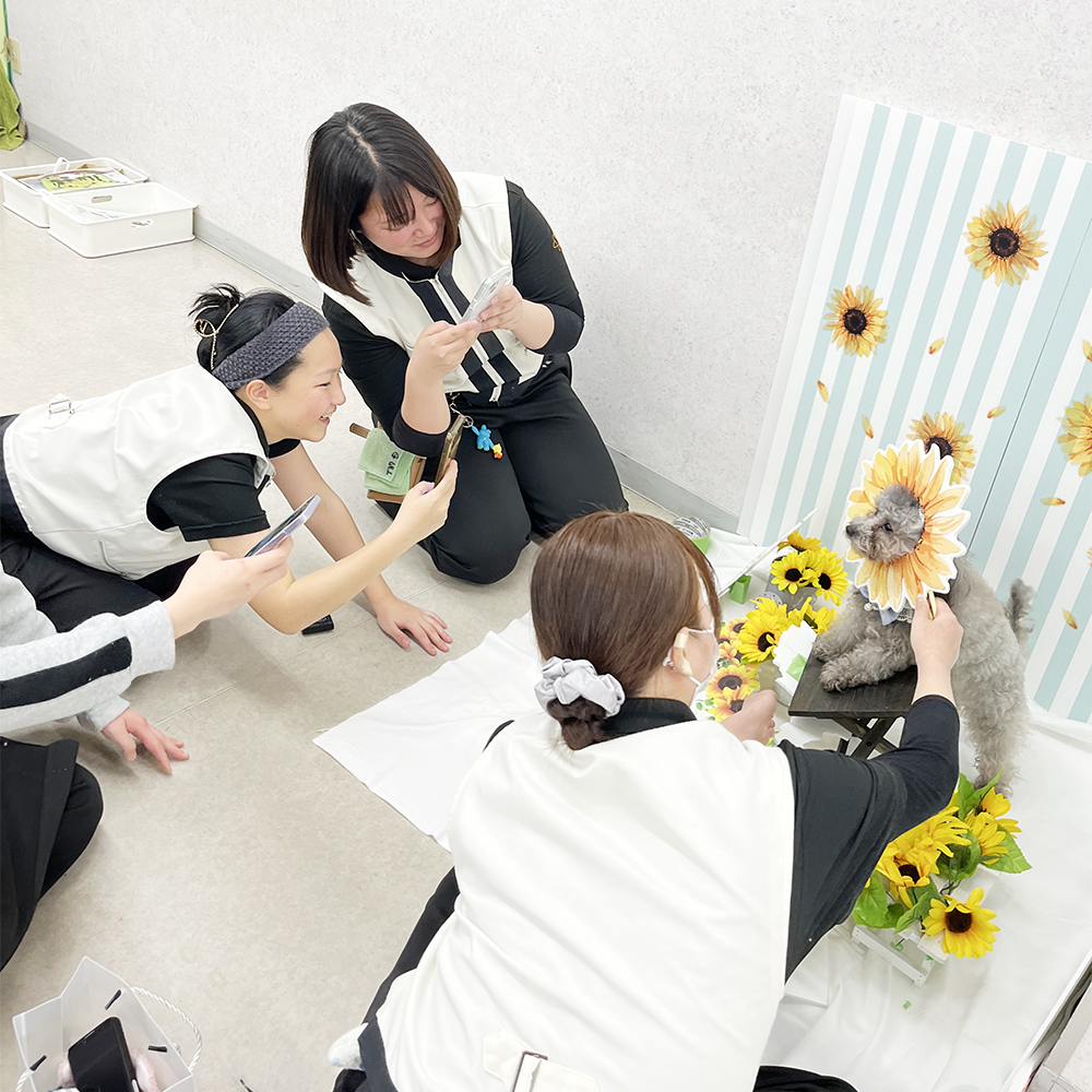 モデル犬の写真撮影会PART②